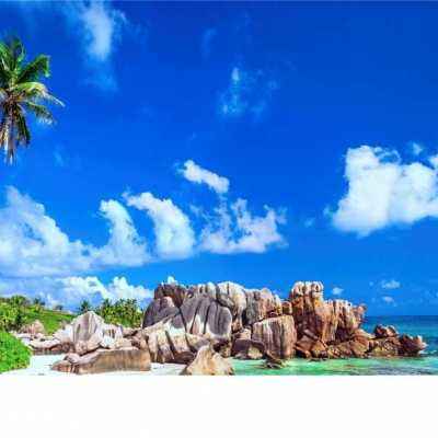 澳门太阳游戏城app下载手机版截图